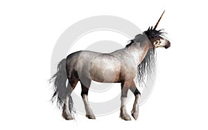 Roan Unicorn