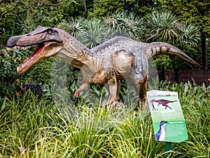 Roaring Baryonyx standing in tall grass display model in Perth Z