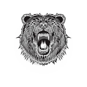 Roaring bear vector image