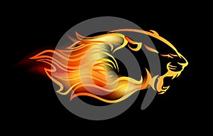 Roaring big cat among fire flames vector