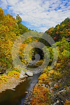 Roaring Brook in Scranton Pennsylvania in Autumn