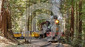 Roaring Camp` Dixiana Shay Steam Train Crossing Redwoods in Santa Cruz Mountains