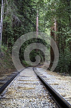Roaring camp Railroad