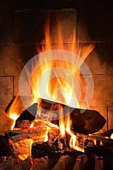 Roaring Fire in Fireplace with Logs and Flames