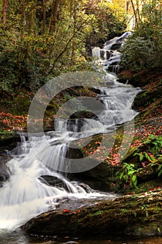 Roaring Fork Creek Falls III