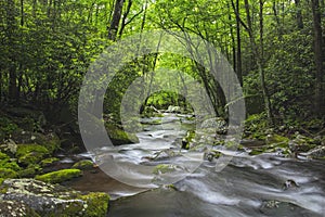 Roaring Fork Creek in the Great Smoky Mountains USA