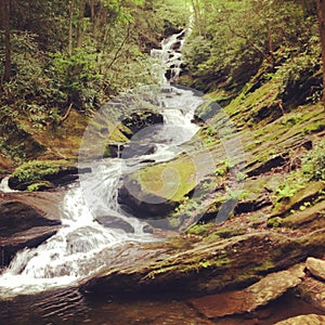 Roaring Fork Falls, Yancey County North Carolina.