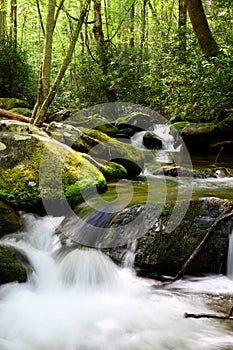 Roaring Fork Motor Trail Waters In the Smoky Mountains