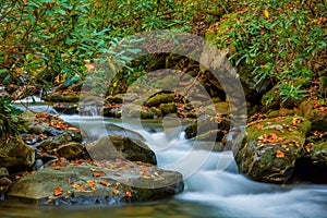 Roaring Fork Stream