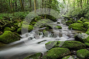Roaring Fork stream, Smoky Mountains, Tennessee