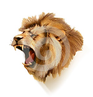 Roaring lion head photo