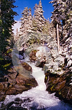 A roaring mountain stream in the Cascades in the winter with snow