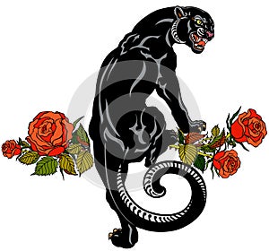 Roaring panther climbing up and blooming roses. Tattoo