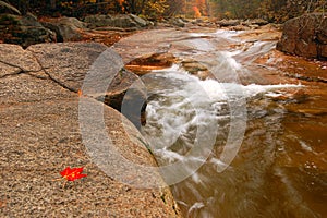 A roaring, rocky brook in autumn