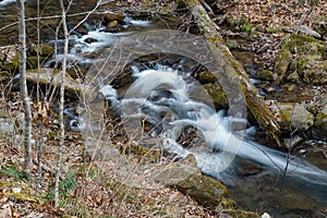 Roaring Run Creek