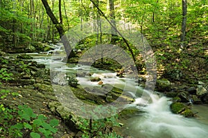 Roaring Run Creek, Jefferson Nation Forest, Virginia, USA