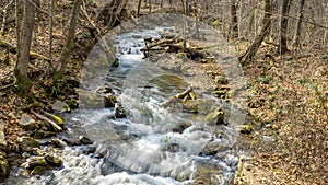 Roaring Run Creek in the Jefferson National Forest