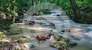 Roaring Run Creek in the Jefferson National Forest