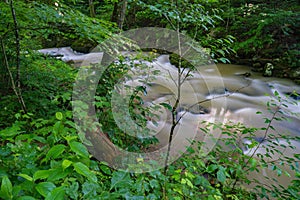 Roaring Run Creek in the Jefferson National Forest