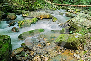 Roaring Run Creek, Jefferson National Forest