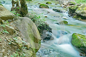 Roaring Run Creek, Jefferson National Forest