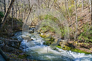 Roaring Run Creek, Jefferson National Forest