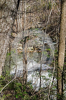 Roaring Run Creek, Jefferson National Forest