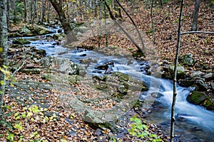 Roaring Run Creek, Jefferson National Forest, USA