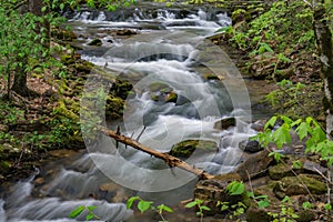 Roaring Run Creek, Jefferson National Forest, USA