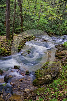 Roaring Run Creek, Jefferson National Forest, USA