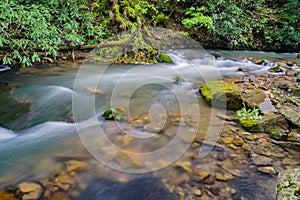 Roaring Run Creek, Jefferson National Forest, USA