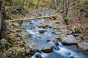 Roaring Run Creek, Jefferson National Forest, USA - 2