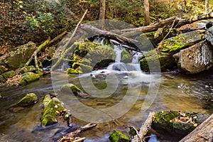 Roaring Run Creek, Jefferson National Forest, USA