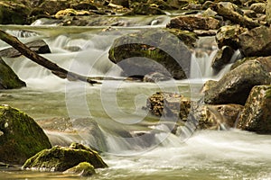 Roaring Run Creek, Jefferson National Forest, USA