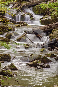 Roaring Run Creek, Jefferson National Forest, USA