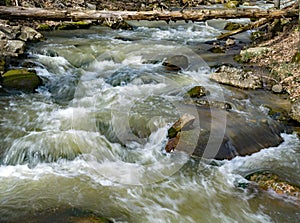 Roaring Run Creek a Popular Trout Stream