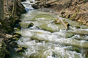 Roaring Run Creek a Popular Trout Stream