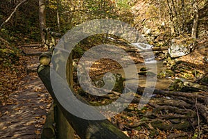 Roaring Run Creek Trail