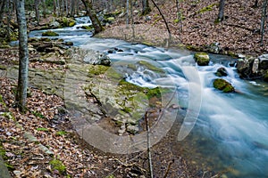 Roaring Run Creek Trout Stream