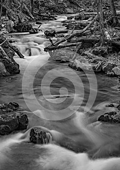 Roaring Run Creek, Virginia, USA