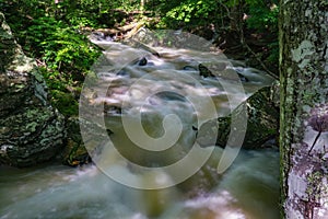 Roaring Run Trout Stream