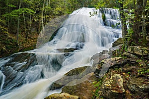 Roaring Run Waterfall hightwater