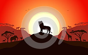 Roaring silhouette of a lion standing on a hill