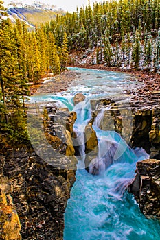 The roaring Sunwapata Falls in Jasper