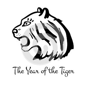 Roaring tiger head. Chinese zodiac character. The year of the Tiger. Happy Chinese New year
