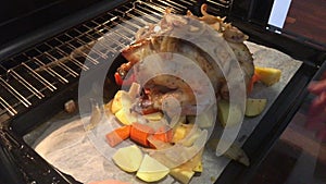 Roast chicken cooking in oven