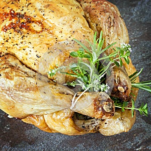 Roast Chicken with Herbs