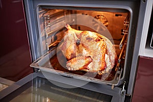 Roast Christmas duck on the oven background. Thanksgiving turkey fresh out of the oven. Homemade turkey.