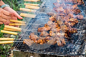 Roast delicious mutton kebabs