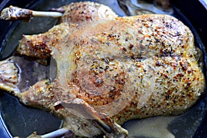 Roast duck in a roasting pan